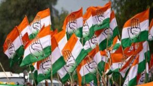 Congress Communication Coordinator: