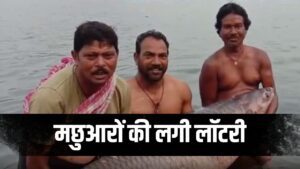 Viral Video