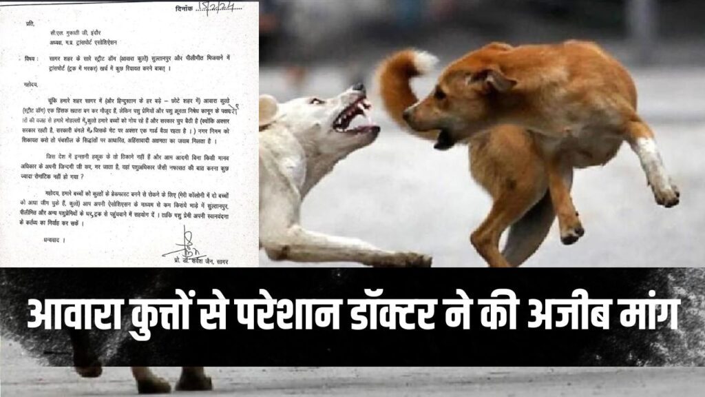 stray dog