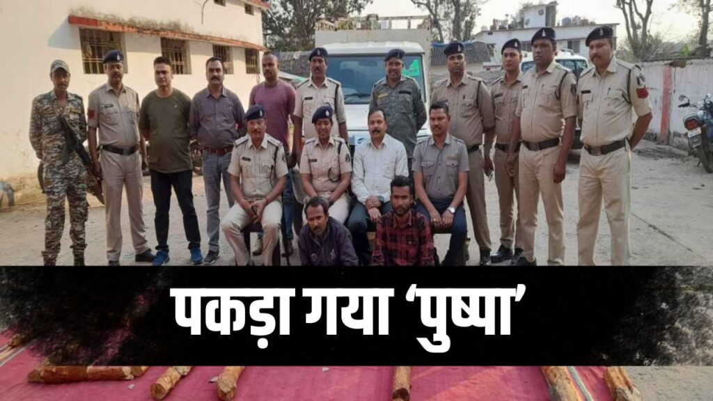 sandalwood smugglers