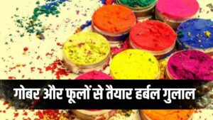 Holi Herbal Gulaal