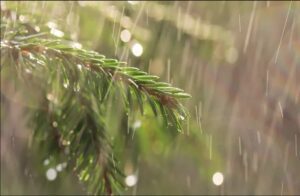 Heavy rain in Chhattisgarh