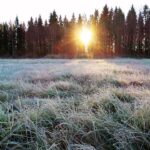 cold wave