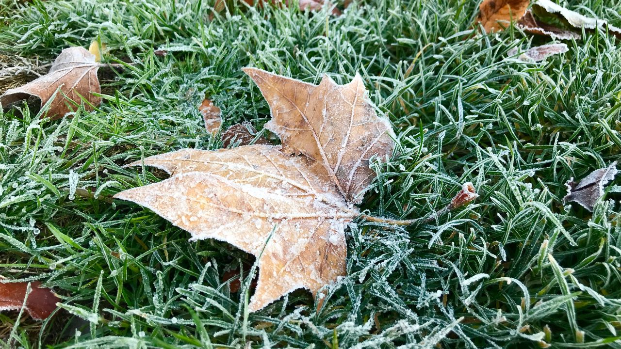CG Weather Update