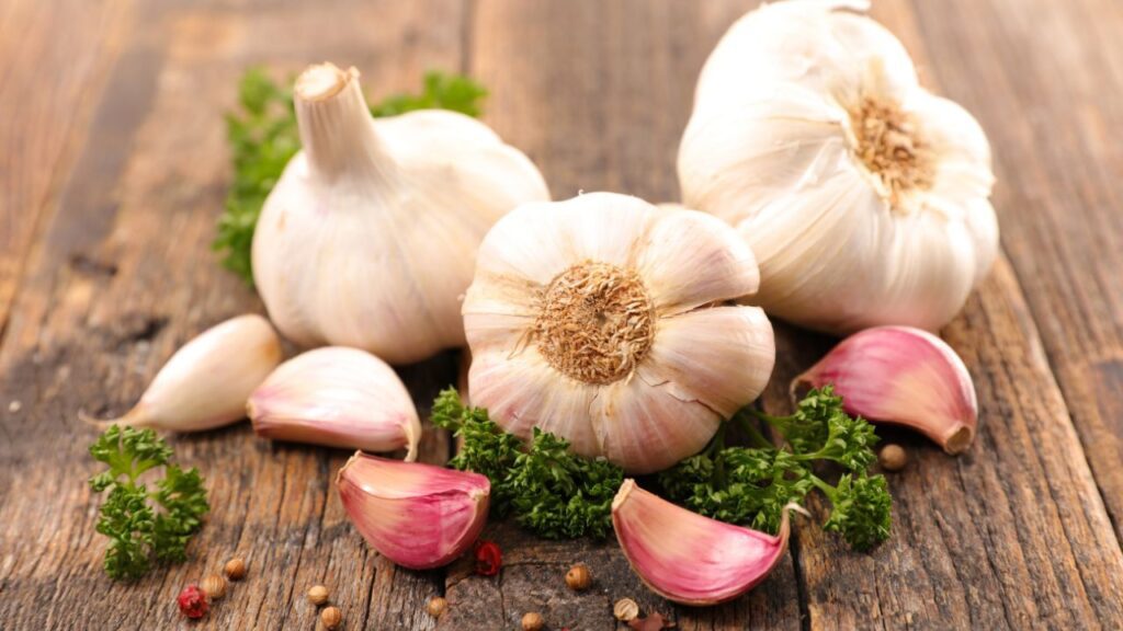 Garlic Price