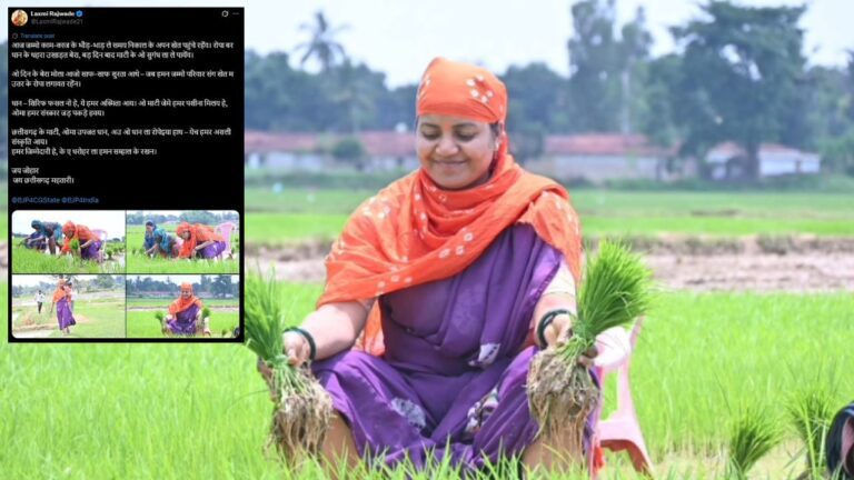 धान रोपाई करते दिखीं मंत्री लक्ष्मी राजवाड़े, सोशल मीडिया पर छाया अनोखा अंदाज, ट्रोलिंग भी तेज