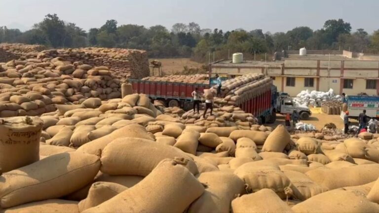 गरियाबंद में धान उठाव धीमा: 56% ही परिवहन, मिलर्स की कमी और सड़क प्रतिबंध बने बड़ी वजह