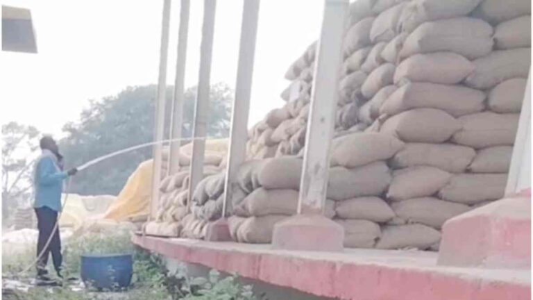 धान खरीदी में गड़बड़ी का आरोप, बोरियों में पाइप से पानी डालने का वीडियो वायरल