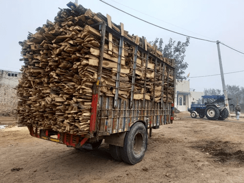 कोंडागांव में लकड़ी तस्करी पर बवाल: पकड़ी गई गाड़ियां छोड़ने पर वन विभाग पर सवाल