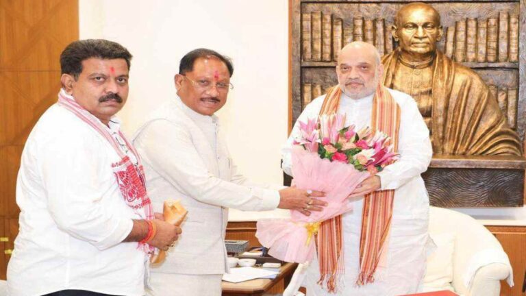 छत्तीसगढ़ में AIIA की स्थापना की मांग, मुख्यमंत्री साय ने अमित शाह से की मुलाकात