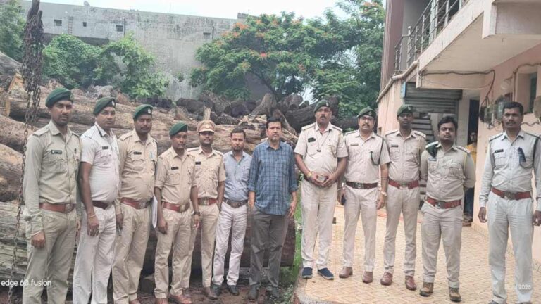 कोरबा-रायपुर लकड़ी तस्करी का खुलासा, 20 घन मीटर साल लकड़ी जब्त, मुख्य आरोपी गिरफ्तार