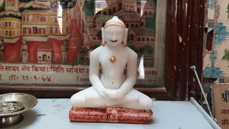 गंगरेल बांध में मिली भगवान नेमिनाथ की दुर्लभ प्रतिमा, 37 साल पुरानी होने का दावा