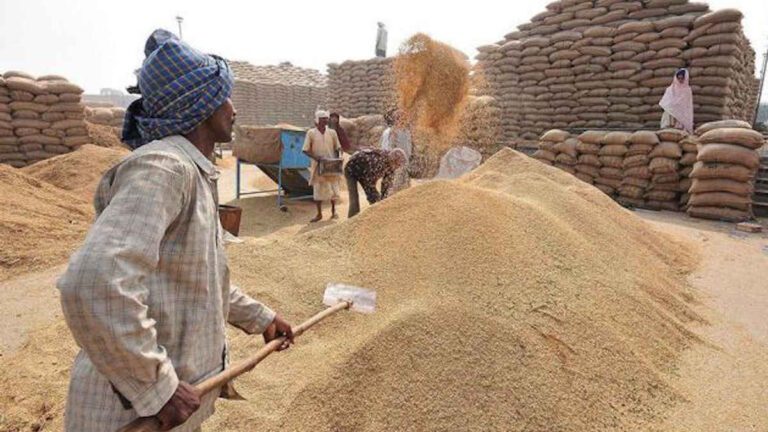 छत्तीसगढ़ में 68,491 टन धान का शॉर्टेज, कांकेर में सबसे ज्यादा कमी