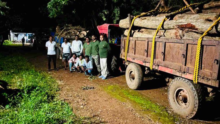 बालोद में वन विभाग की बड़ी कार्रवाई, अवैध लकड़ी से भरे 3 ट्रैक्टर और माजदा जब्त