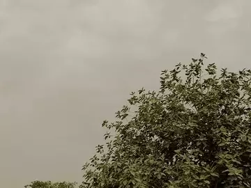 उत्तर-मध्य छत्तीसगढ़ में भारी बारिश का अलर्ट:कई हिस्सों में गरज-चमक के साथ बिजली गिरने का खतरा; अब-तक सामान्य से 2% कम बारिश