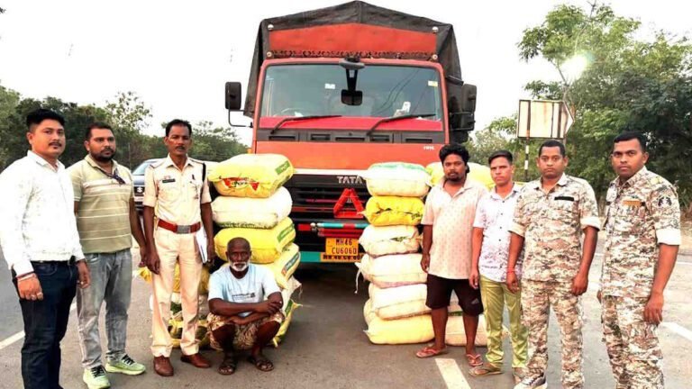 महासमुंद में 3 करोड़ का गांजा जब्त, 560 किलो मादक पदार्थ के साथ तस्करी का खुलासा