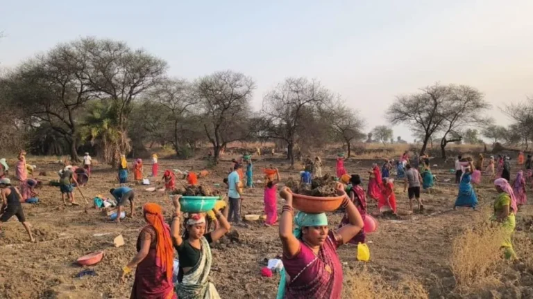 छत्तीसगढ़: कृषि कार्यों के लिए 15 दिन बंद रहेंगे वीबी-जी राम जी योजना के काम, 16 नवंबर से फिर शुरू होगा निर्माण